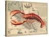 Lobster print on Nautical Map-Fab Funky-Stretched Canvas