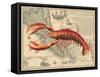 Lobster print on Nautical Map-Fab Funky-Framed Stretched Canvas