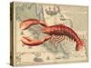 Lobster print on Nautical Map-Fab Funky-Stretched Canvas