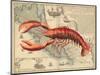 Lobster print on Nautical Map-Fab Funky-Mounted Art Print