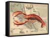 Lobster print on Nautical Map-Fab Funky-Framed Stretched Canvas