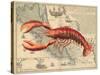 Lobster print on Nautical Map-Fab Funky-Stretched Canvas