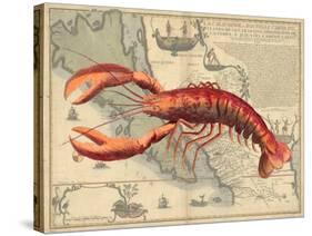 Lobster print on Nautical Map-Fab Funky-Stretched Canvas