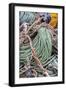 Lobster rope in Bernard, Maine, USA-Chuck Haney-Framed Photographic Print