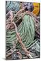 Lobster rope in Bernard, Maine, USA-Chuck Haney-Mounted Photographic Print