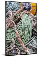 Lobster rope in Bernard, Maine, USA-Chuck Haney-Mounted Photographic Print