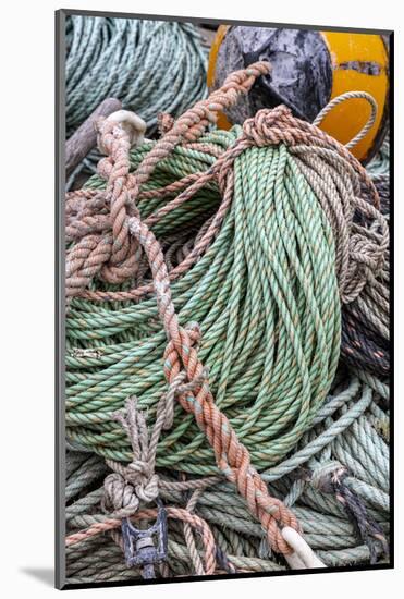 Lobster rope in Bernard, Maine, USA-Chuck Haney-Mounted Photographic Print