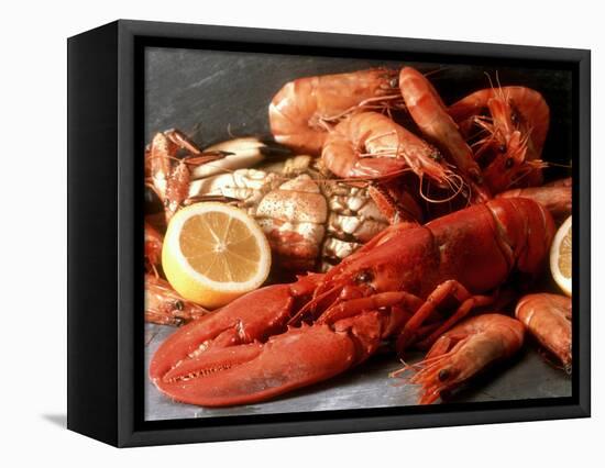 Lobster, Shrimp and Crab-Steven Morris-Framed Stretched Canvas