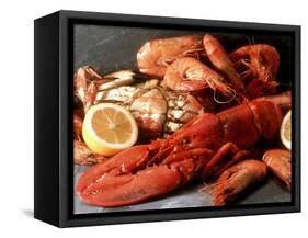 Lobster, Shrimp and Crab-Steven Morris-Framed Stretched Canvas