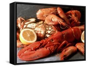 Lobster, Shrimp and Crab-Steven Morris-Framed Stretched Canvas