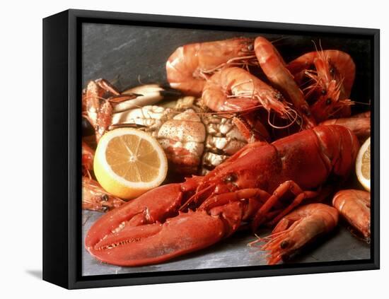 Lobster, Shrimp and Crab-Steven Morris-Framed Stretched Canvas