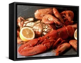 Lobster, Shrimp and Crab-Steven Morris-Framed Stretched Canvas