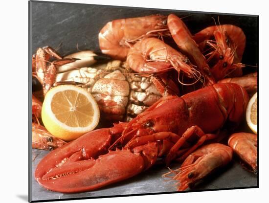 Lobster, Shrimp and Crab-Steven Morris-Mounted Photographic Print