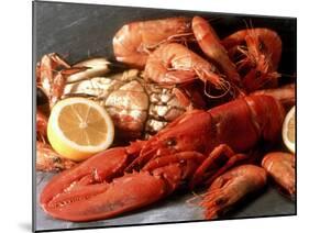 Lobster, Shrimp and Crab-Steven Morris-Mounted Photographic Print