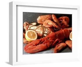 Lobster, Shrimp and Crab-Steven Morris-Framed Photographic Print