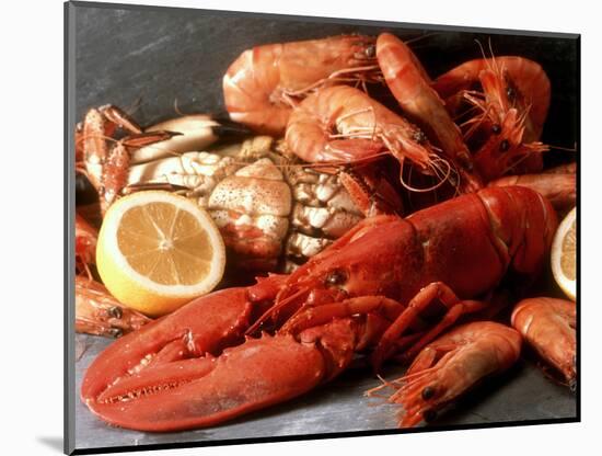 Lobster, Shrimp and Crab-Steven Morris-Mounted Photographic Print