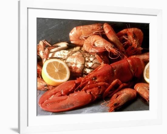 Lobster, Shrimp and Crab-Steven Morris-Framed Photographic Print