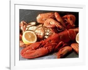 Lobster, Shrimp and Crab-Steven Morris-Framed Photographic Print