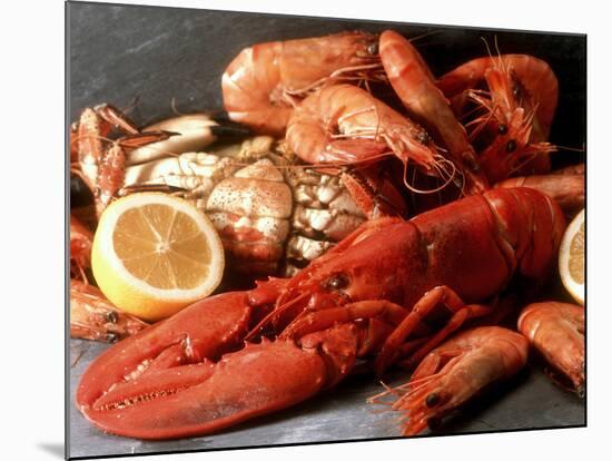 Lobster, Shrimp and Crab-Steven Morris-Mounted Photographic Print