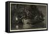 Lobster Spearing by Torchlight in Canada-null-Framed Stretched Canvas