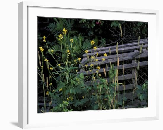 Lobster Traps, Maine, USA-Jerry & Marcy Monkman-Framed Photographic Print