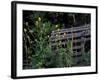Lobster Traps, Maine, USA-Jerry & Marcy Monkman-Framed Photographic Print