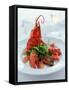 Lobster with Sauteed Goose Liver and Lettuce-Antje Plewinski-Framed Stretched Canvas