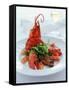 Lobster with Sauteed Goose Liver and Lettuce-Antje Plewinski-Framed Stretched Canvas