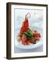 Lobster with Sauteed Goose Liver and Lettuce-Antje Plewinski-Framed Photographic Print