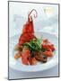 Lobster with Sauteed Goose Liver and Lettuce-Antje Plewinski-Mounted Photographic Print