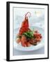 Lobster with Sauteed Goose Liver and Lettuce-Antje Plewinski-Framed Photographic Print