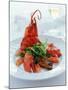 Lobster with Sauteed Goose Liver and Lettuce-Antje Plewinski-Mounted Photographic Print