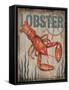 Lobster-Todd Williams-Framed Stretched Canvas