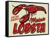 Lobster-Retroplanet-Framed Stretched Canvas