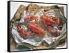 Lobsters, 1981-Sandra Lawrence-Framed Stretched Canvas