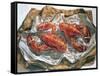 Lobsters, 1981-Sandra Lawrence-Framed Stretched Canvas