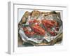 Lobsters, 1981-Sandra Lawrence-Framed Premium Giclee Print