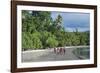 Local boys walking on a pretty black sand volcanic beach, Epi Island, Shepherd Islands, Vanuatu, Pa-Michael Runkel-Framed Photographic Print