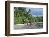 Local boys walking on a pretty black sand volcanic beach, Epi Island, Shepherd Islands, Vanuatu, Pa-Michael Runkel-Framed Photographic Print