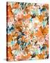 Local Color Orange-Jacqueline Maldonado-Stretched Canvas