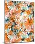 Local Color Orange-Jacqueline Maldonado-Mounted Art Print