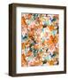 Local Color Orange-Jacqueline Maldonado-Framed Art Print