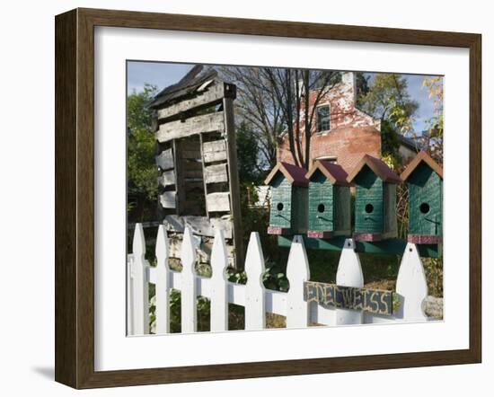 Local Crafts, Oldest Vineyard Area in the Birdhouses, Augusta, Missouri, USA-Walter Bibikow-Framed Photographic Print