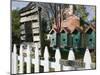 Local Crafts, Oldest Vineyard Area in the Birdhouses, Augusta, Missouri, USA-Walter Bibikow-Mounted Photographic Print