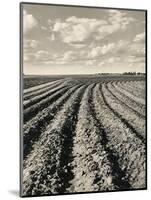 Local Farmland-Jerry Cooke-Mounted Photographic Print