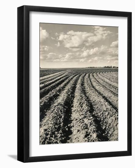 Local Farmland-Jerry Cooke-Framed Photographic Print