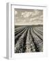 Local Farmland-Jerry Cooke-Framed Photographic Print