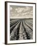 Local Farmland-Jerry Cooke-Framed Photographic Print