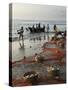 Local Fishermen Landing Catch, Benaulim, Goa, India, Asia-Stuart Black-Stretched Canvas