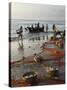 Local Fishermen Landing Catch, Benaulim, Goa, India, Asia-Stuart Black-Stretched Canvas